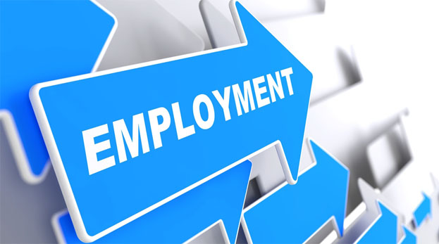 Employment Status and Loan Eligibility in USA